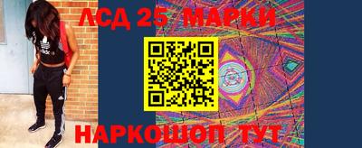 apvp Кунгур