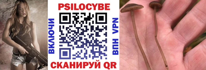 магазин  наркотиков  Грозный  ОМГ ОМГ сайт  Галлюциногенные грибы прущие грибы 