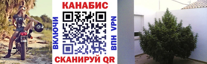 Бошки Шишки MAZAR  Грозный 